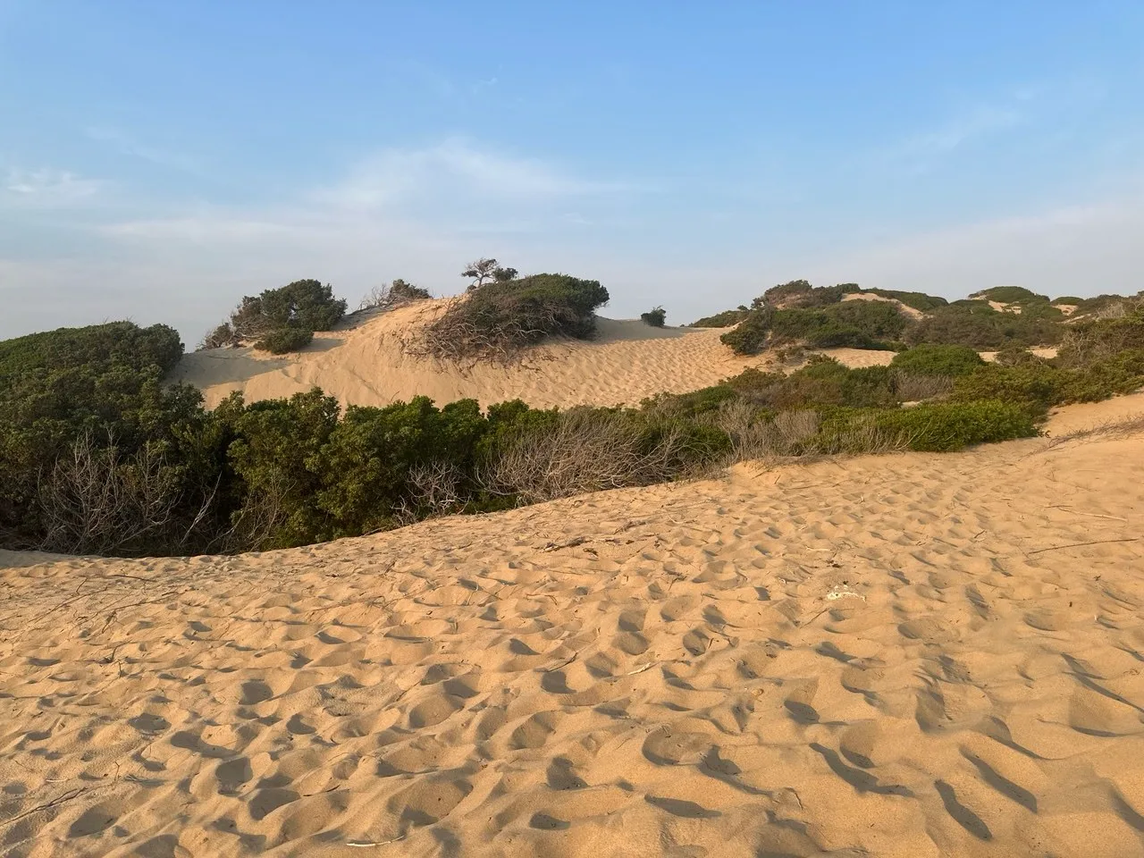 Dune di Piscinas 8