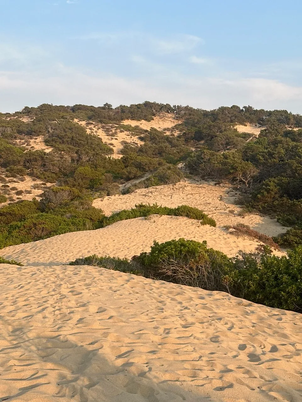 Dune di Piscinas 10