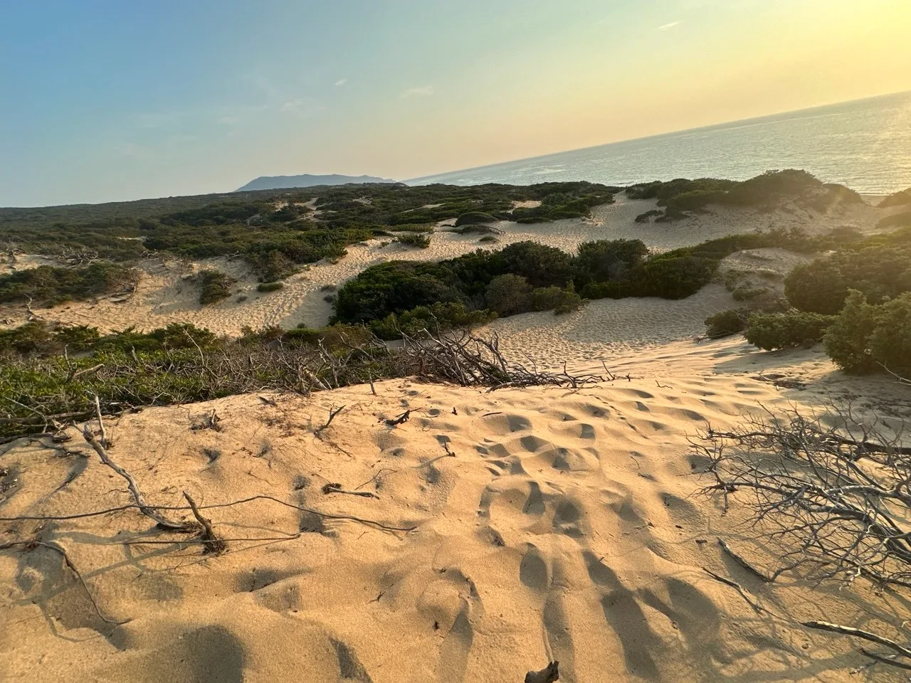 Dune di Piscinas 1