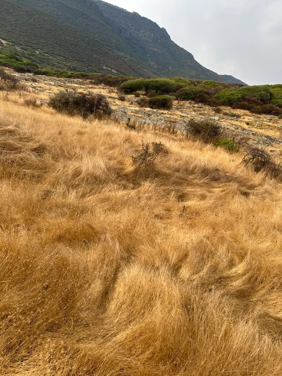 Cala Tentizos 11